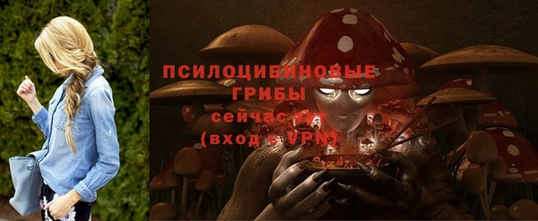 дмт Алексеевка