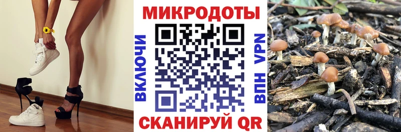 наркошоп  Урай  Галлюциногенные грибы Magic Shrooms 